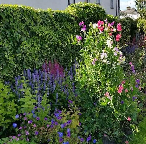 Lakeside 4* Loughrea